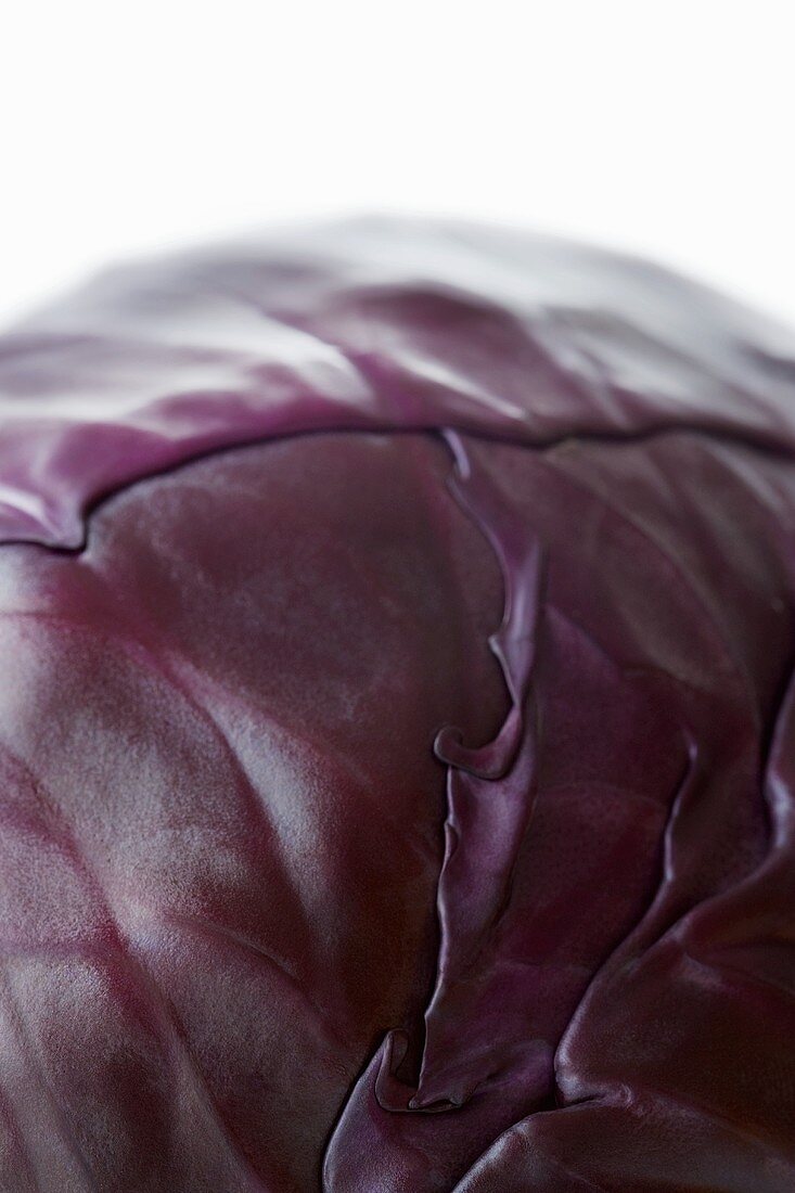 Ein Rotkohl-Kopf