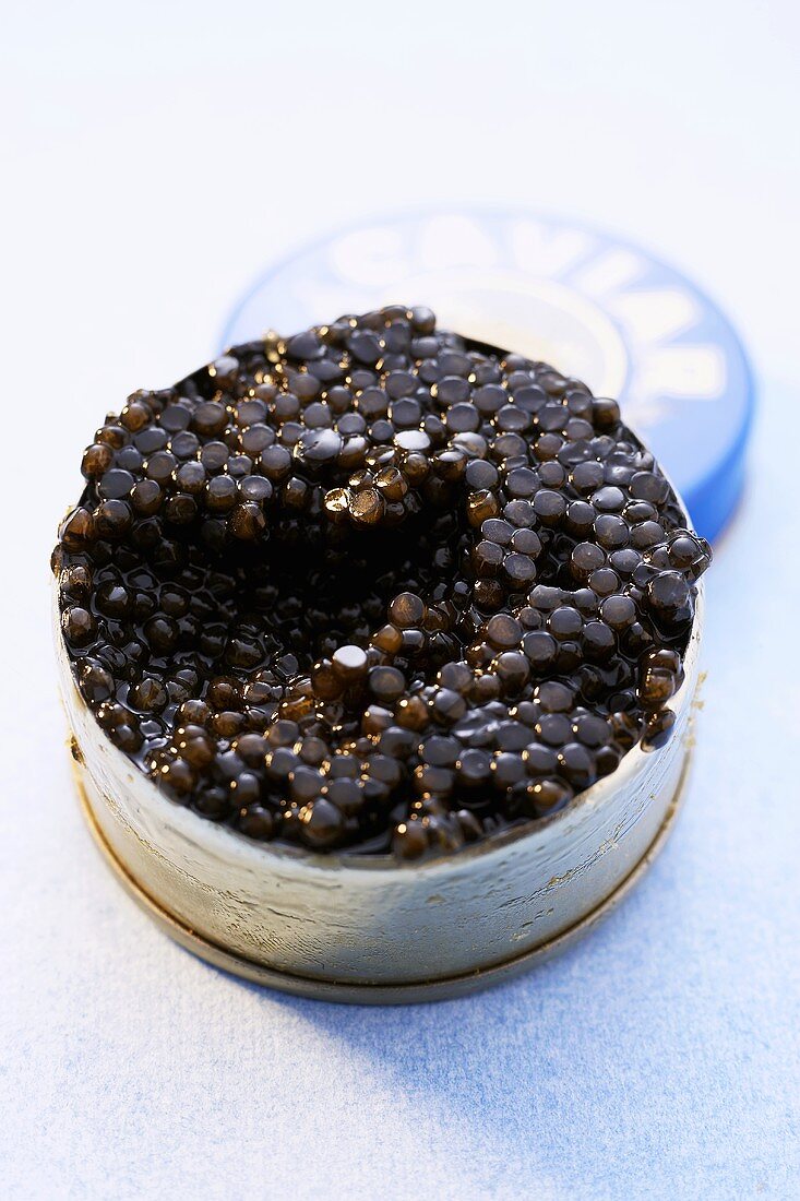 Osietra caviar in the tin