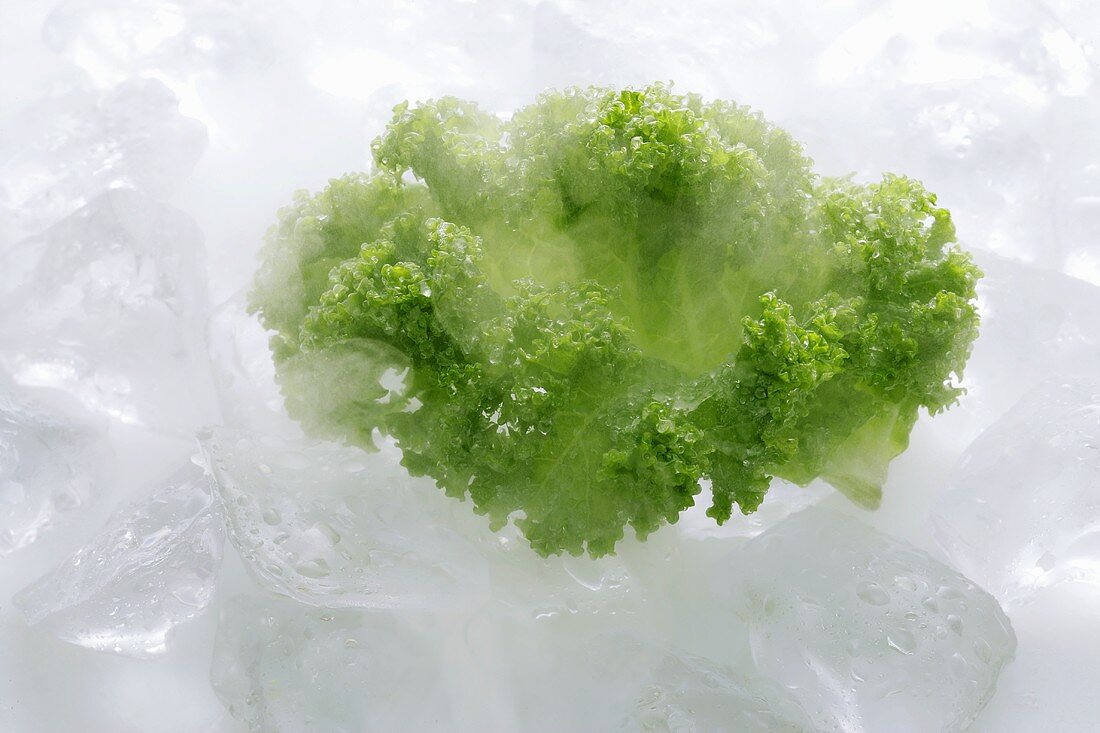 Frozen kale on ice