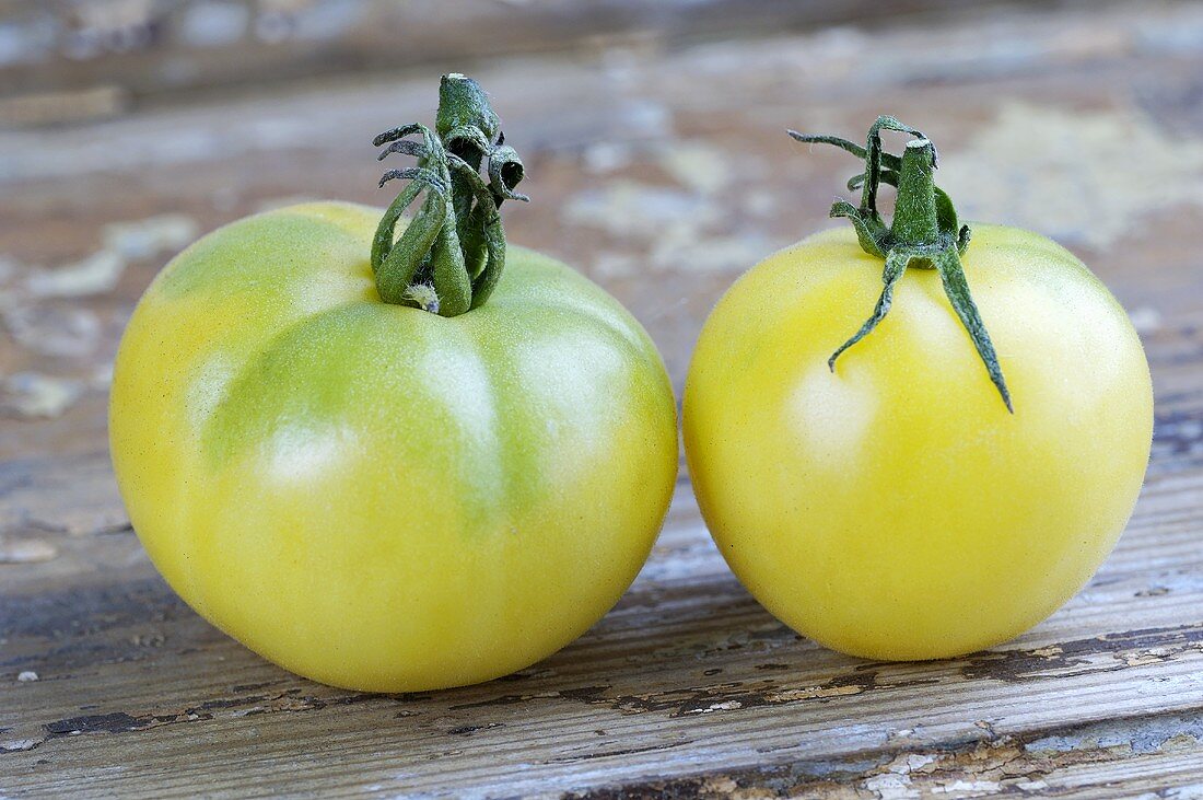 Two tomatoes, variety 'Weissbehaarte'