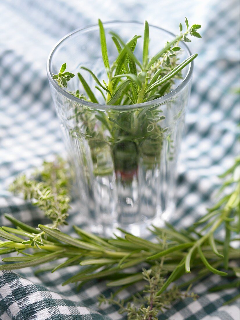 Thymian & Rosmarin in und um ein Glas