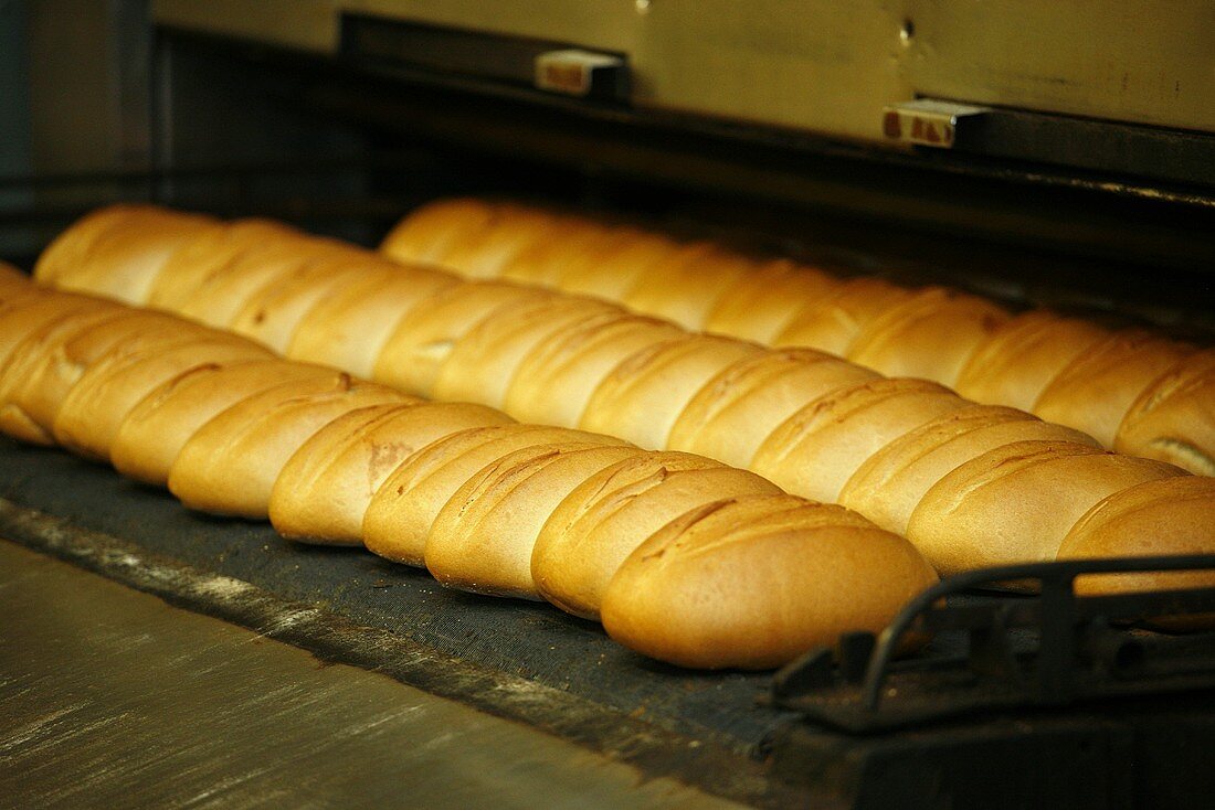 Bread rolls on a baking production line