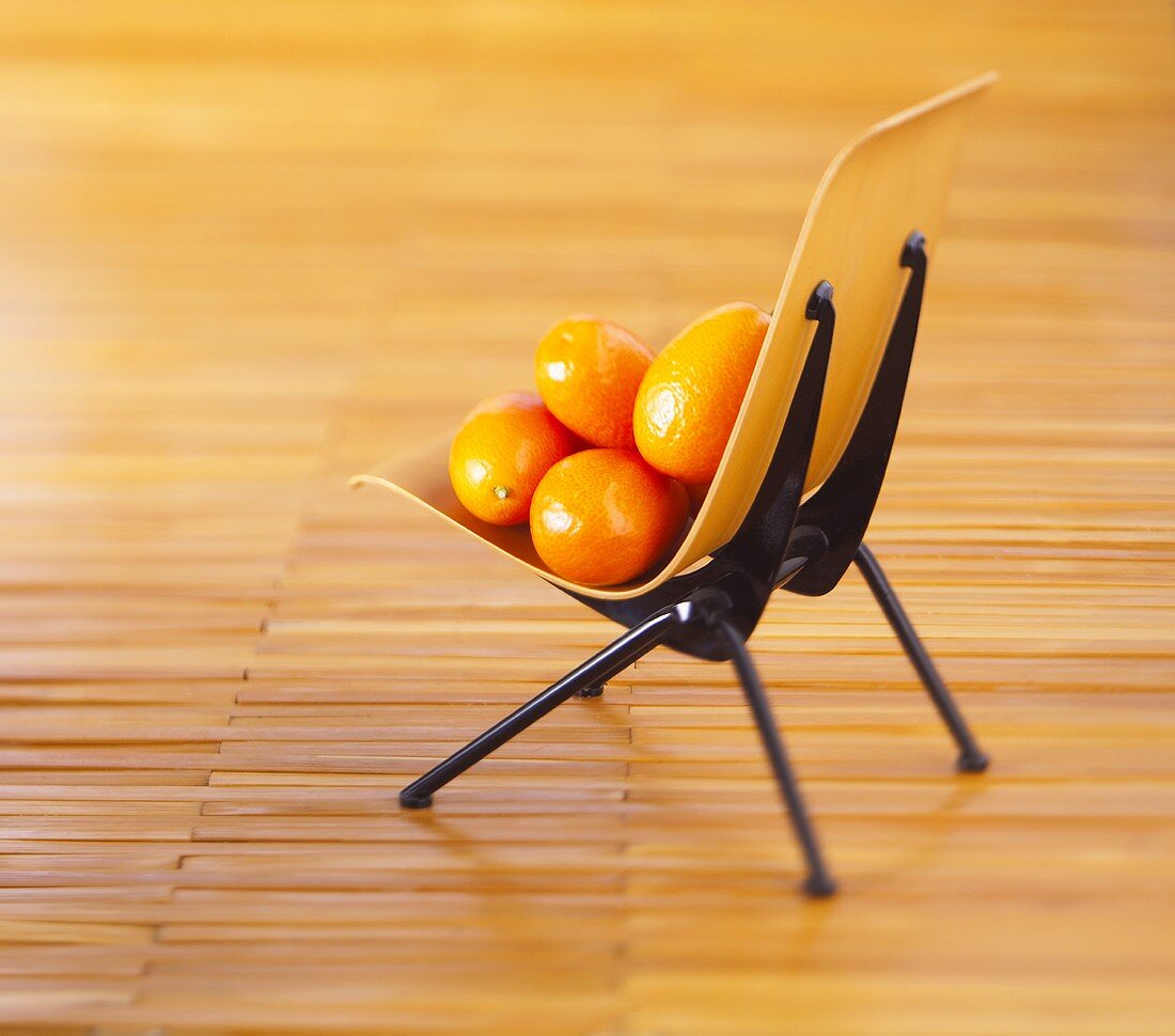 Kumquats auf einem Mini-Stuhl