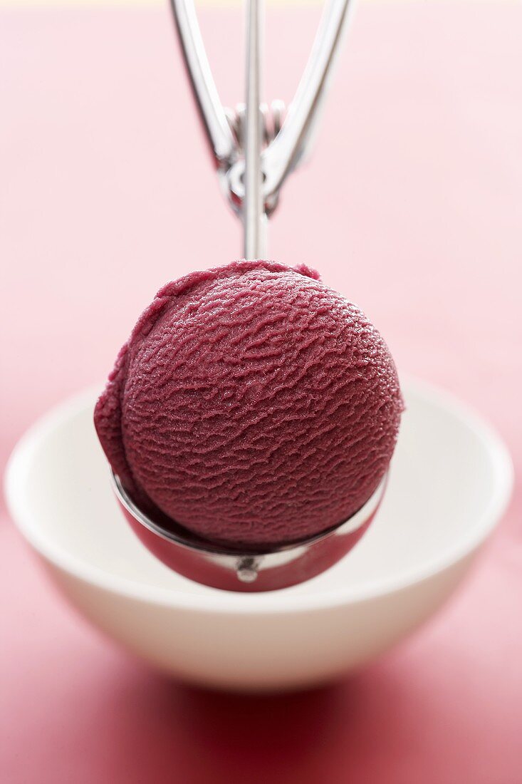 Fruits of the forest sorbet in ice cream scoop