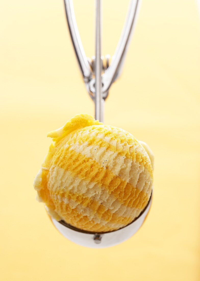 Orangen-Vanille-Eis im Eisportionierer