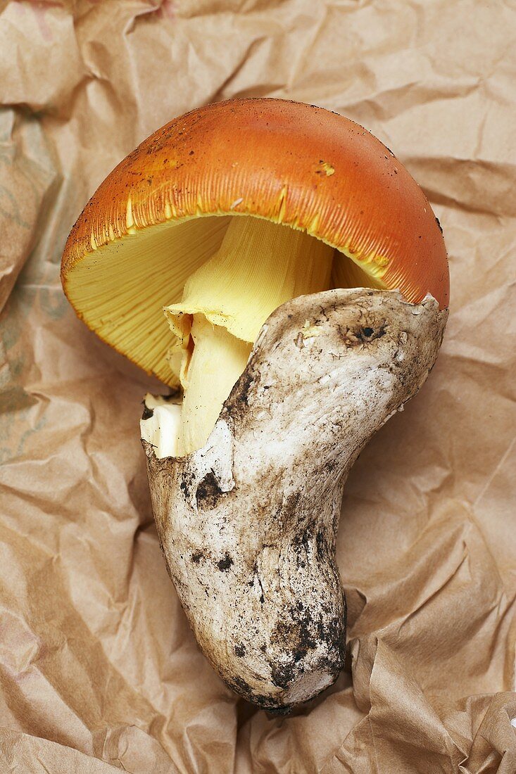 A Caesar's mushroom on a paper bag