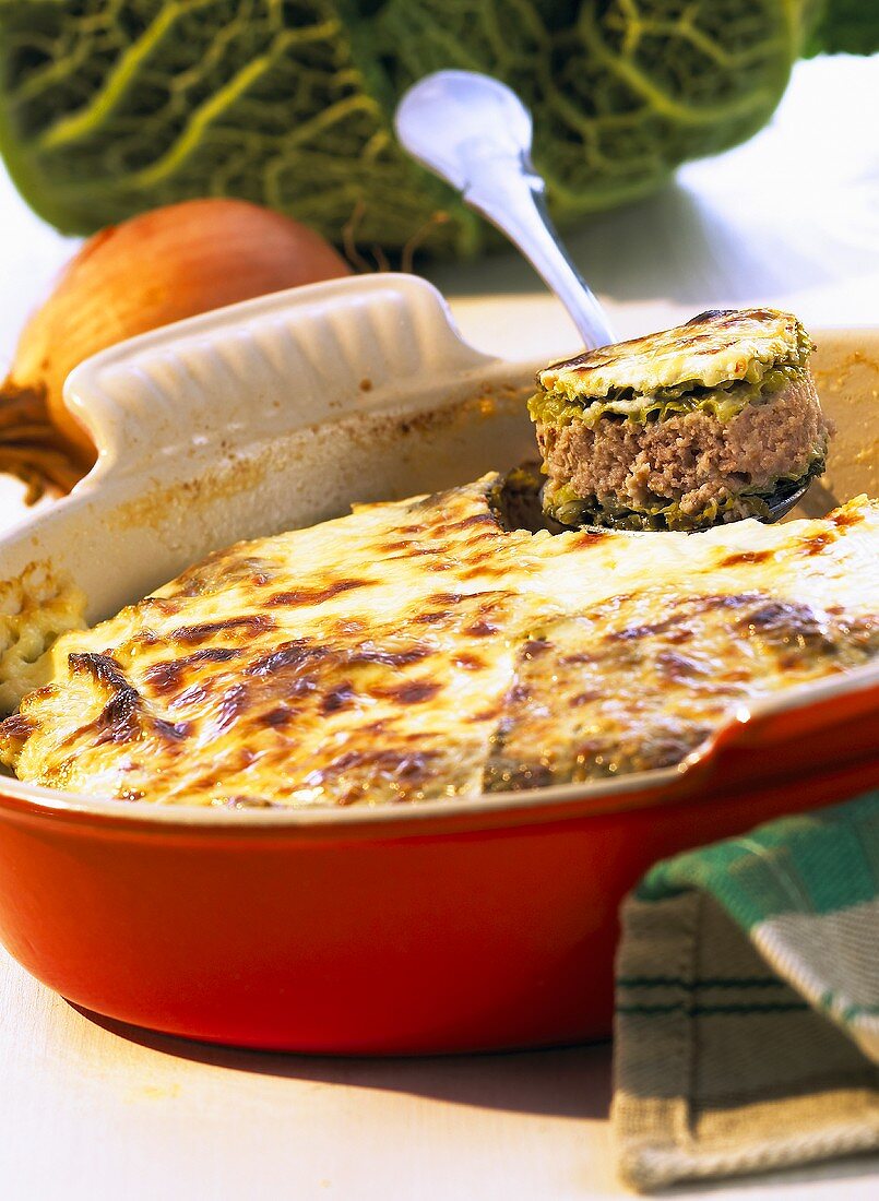 Savoy cabbage bake with minced lamb