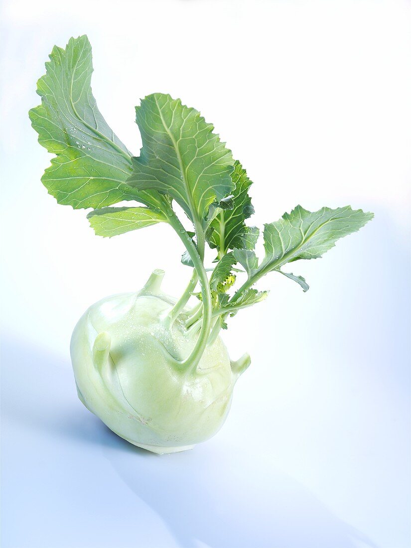 Ein Kohlrabi