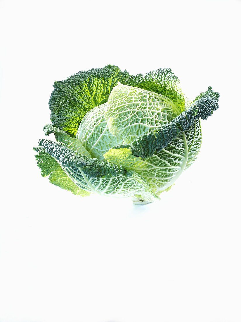 A savoy cabbage