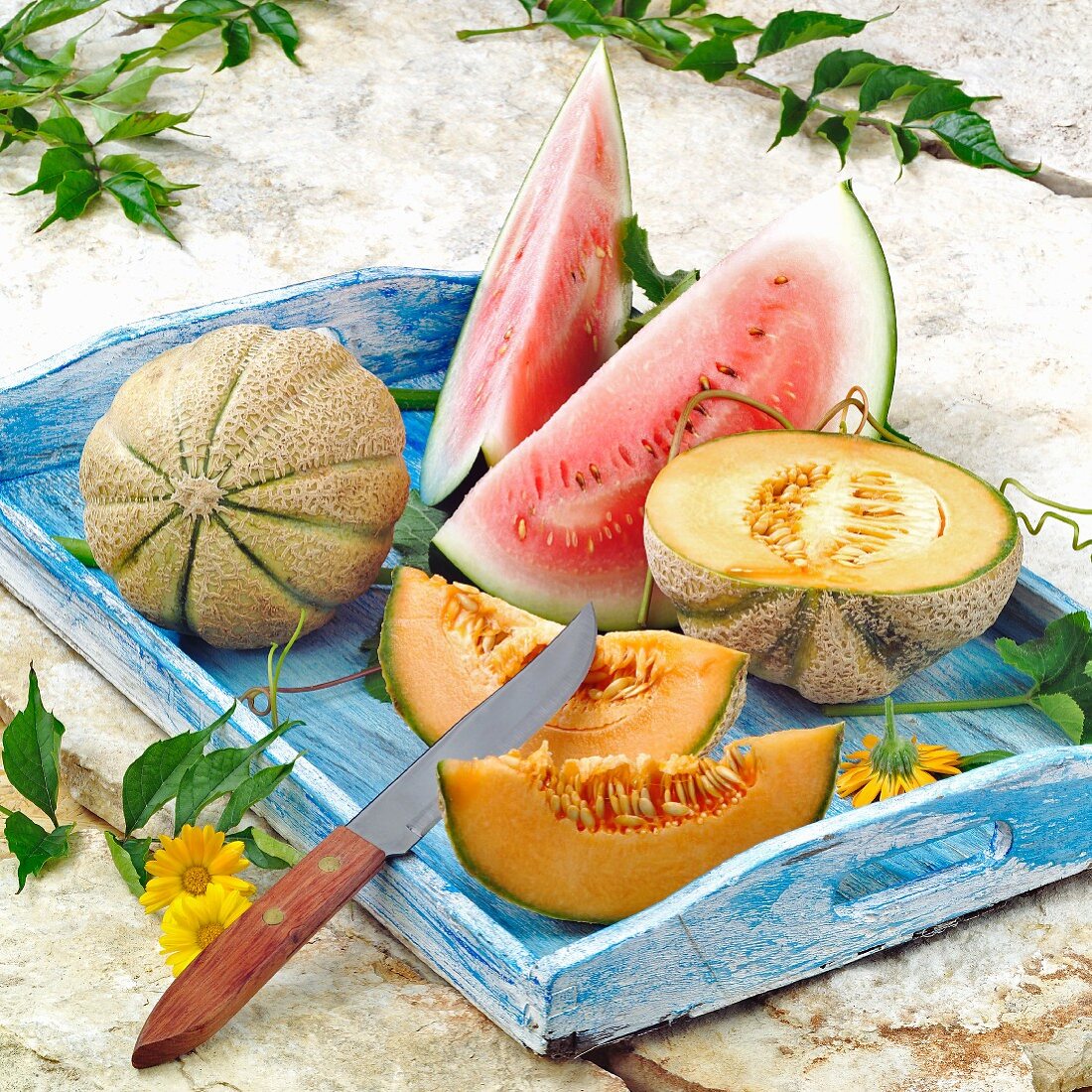 Verschiedene Melonen auf einem Tablett