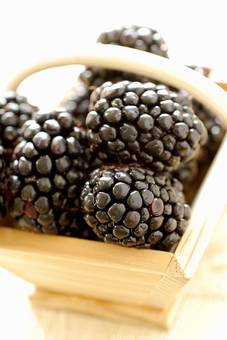 Blackberries in a small wooden basket
