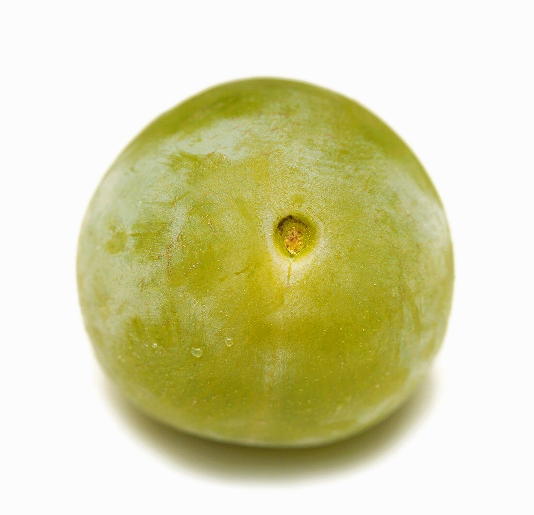 A greengage