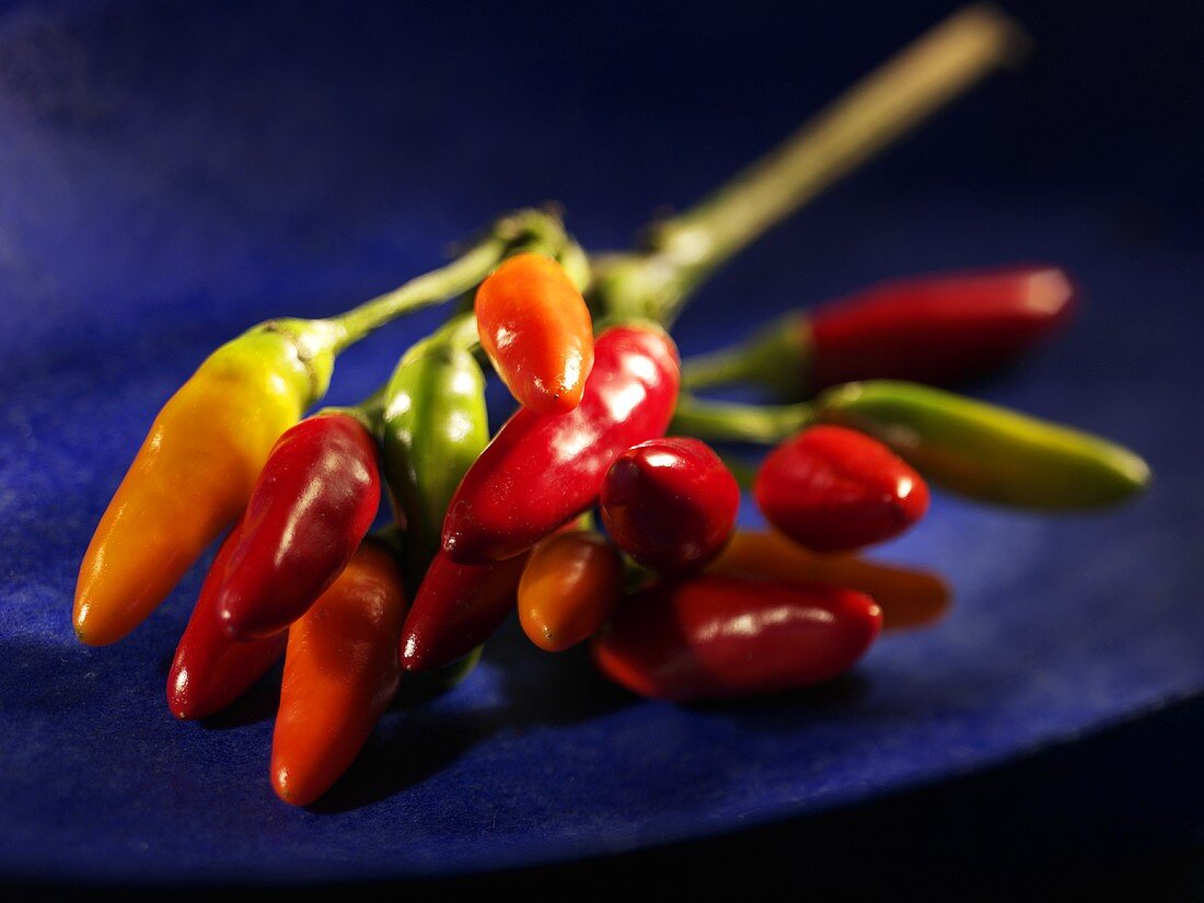 Green, orange and red chillies on stalk