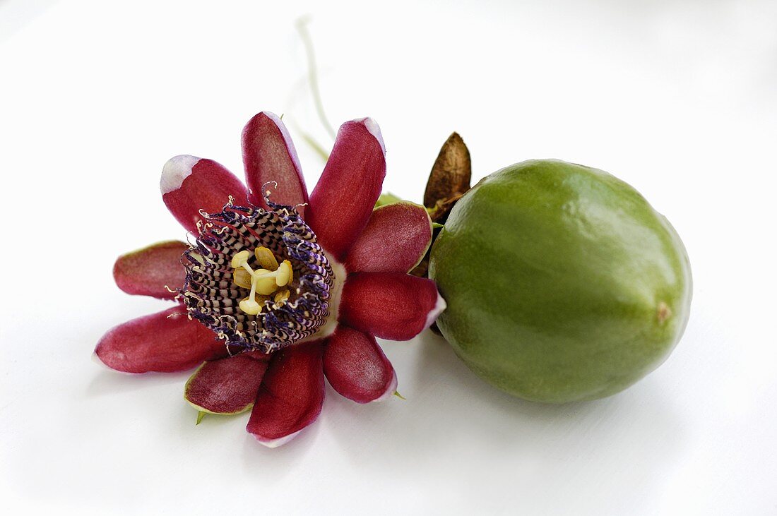 Passion flower and passion fruit