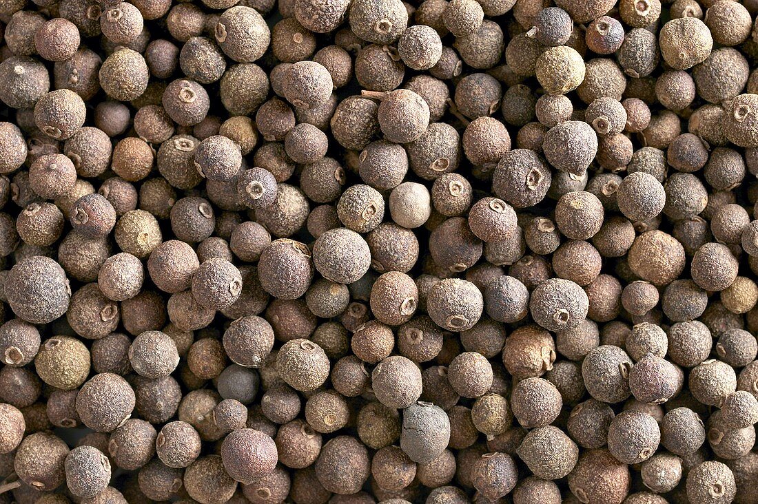 Allspice berries