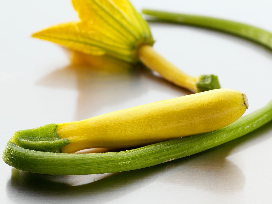 Two yellow courgettes and flower