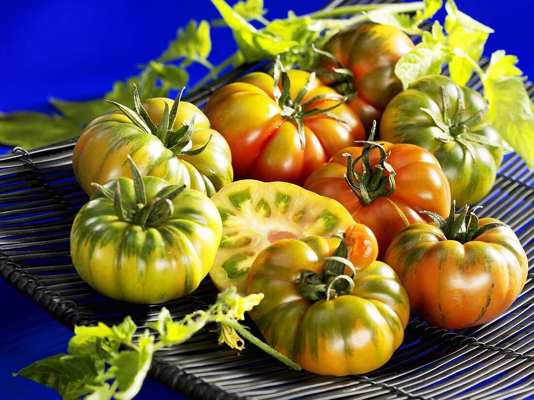 Tomatoes, variety 'Costalluta'