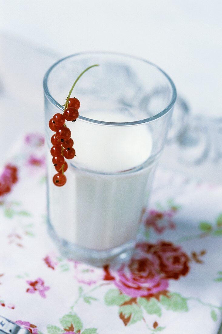 A glass of milk with a bunch of redcurrants