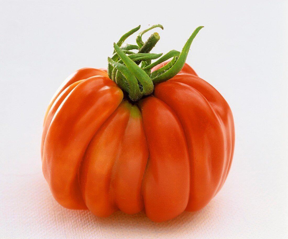 An irregular shaped tomato