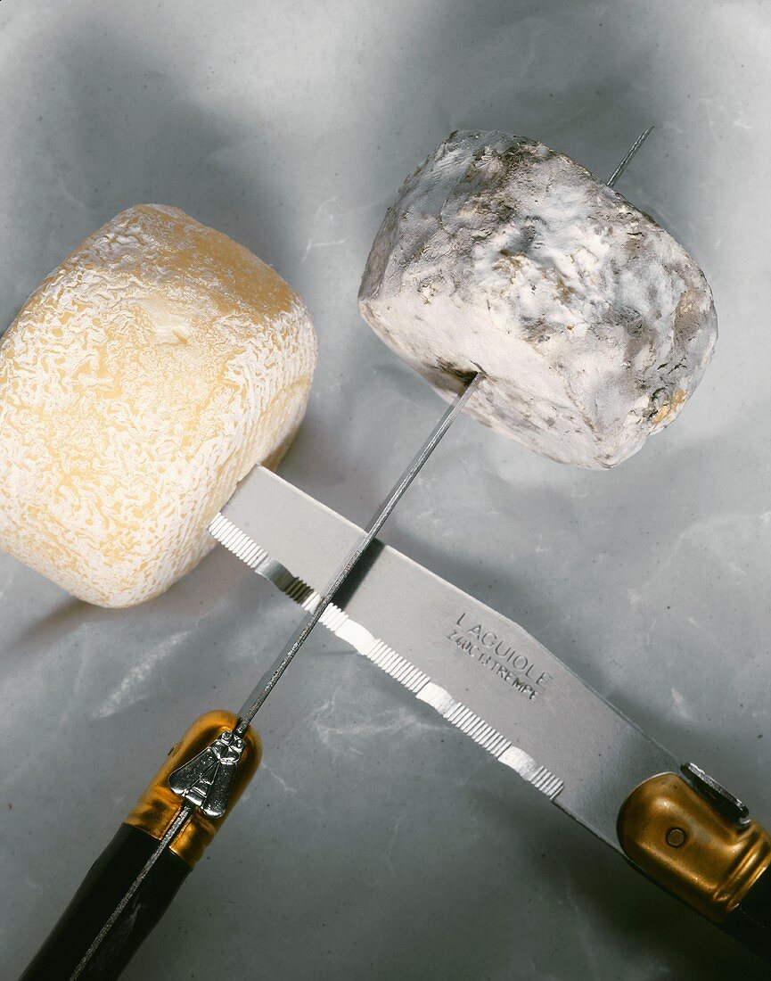 Two goat's cheeses speared on knives