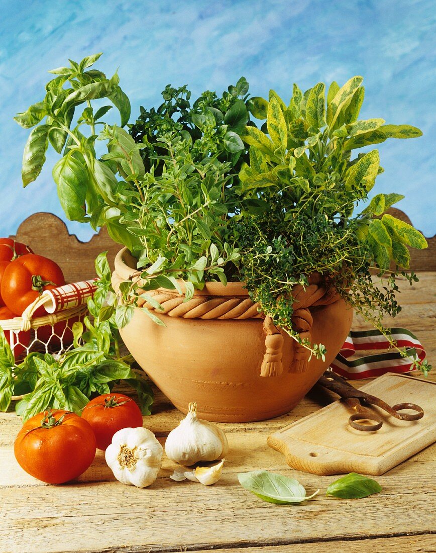 Pot of herbs with garlic and tomatoes