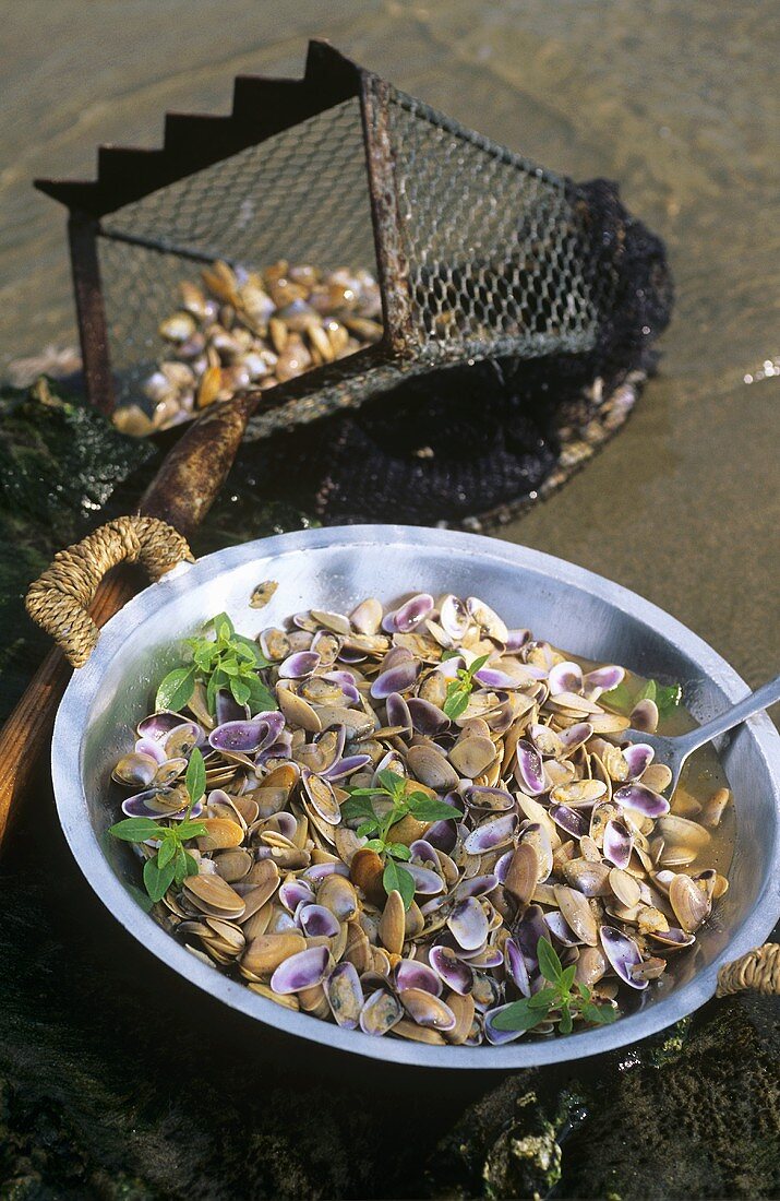Shellfish with garlic and basil