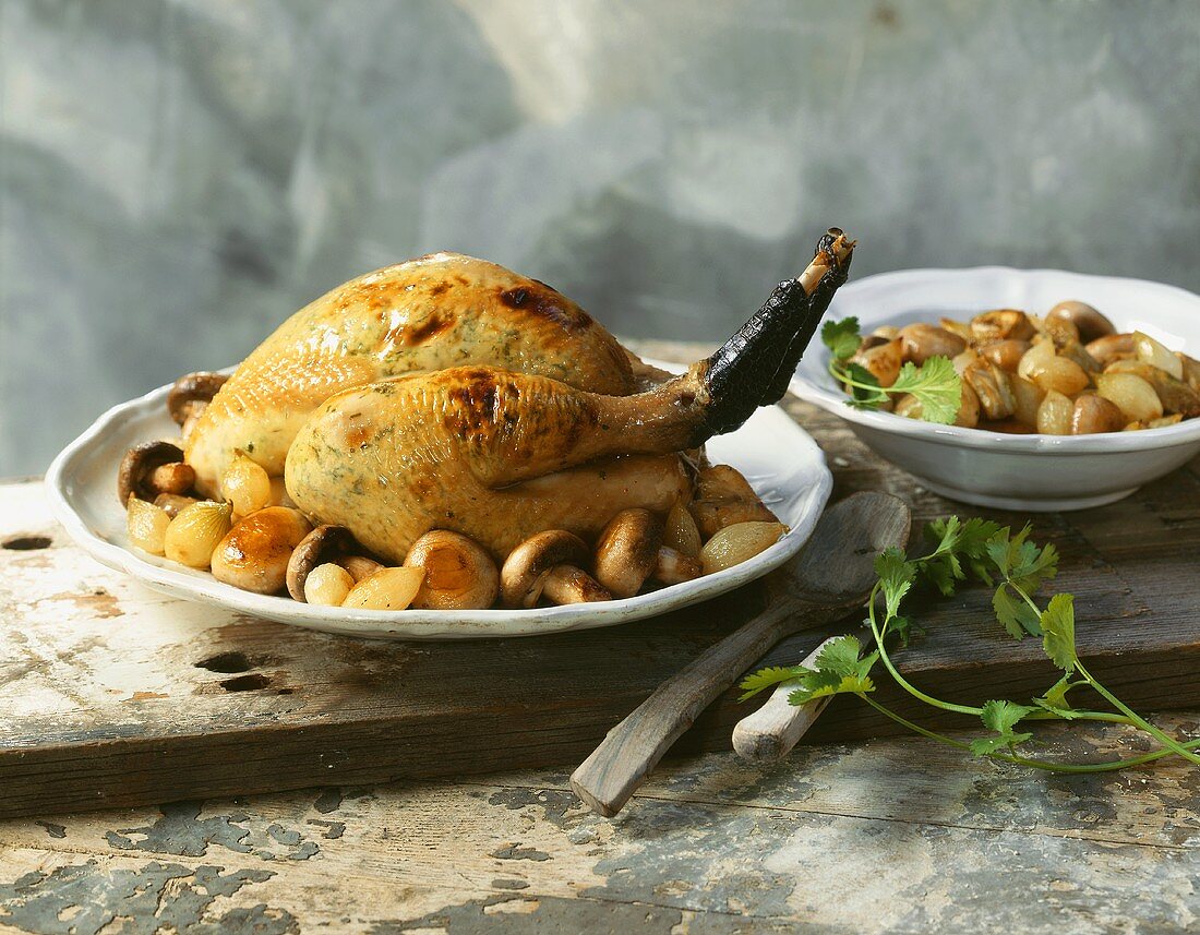 Stuffed chicken on mushrooms and shallots