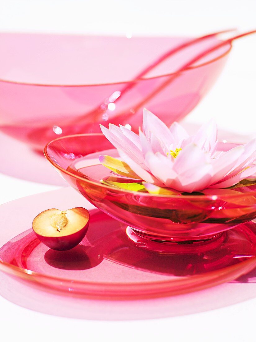 Flower floating in a bowl of water