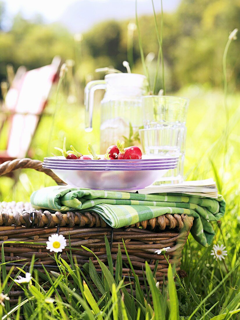 Picknickkorb mit Geschirr und Radieschen