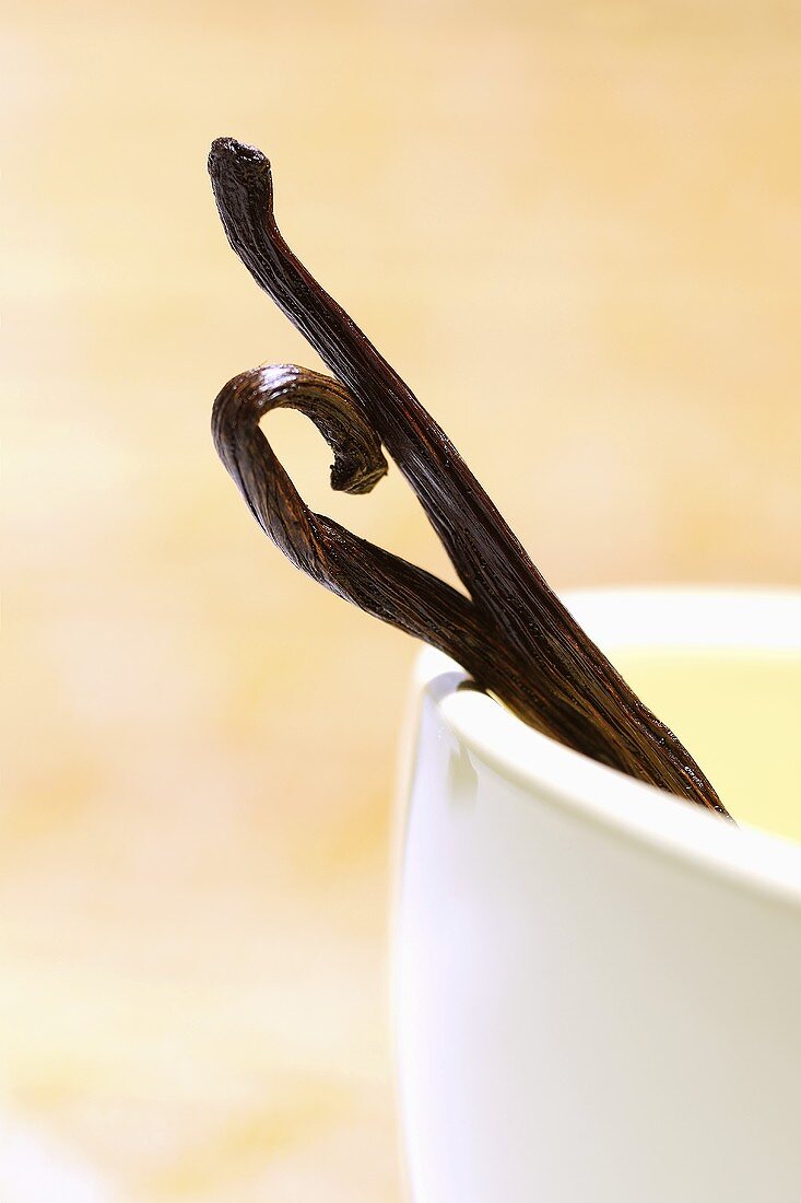 Two vanilla pods in a small bowl