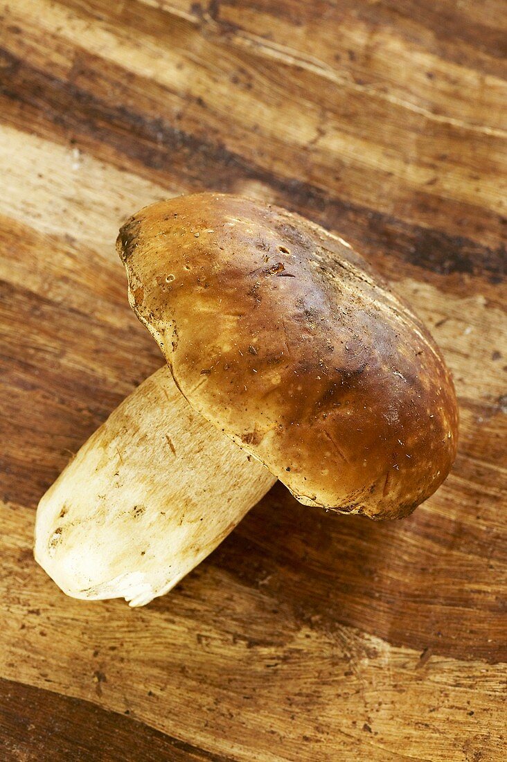 A cep on wooden background
