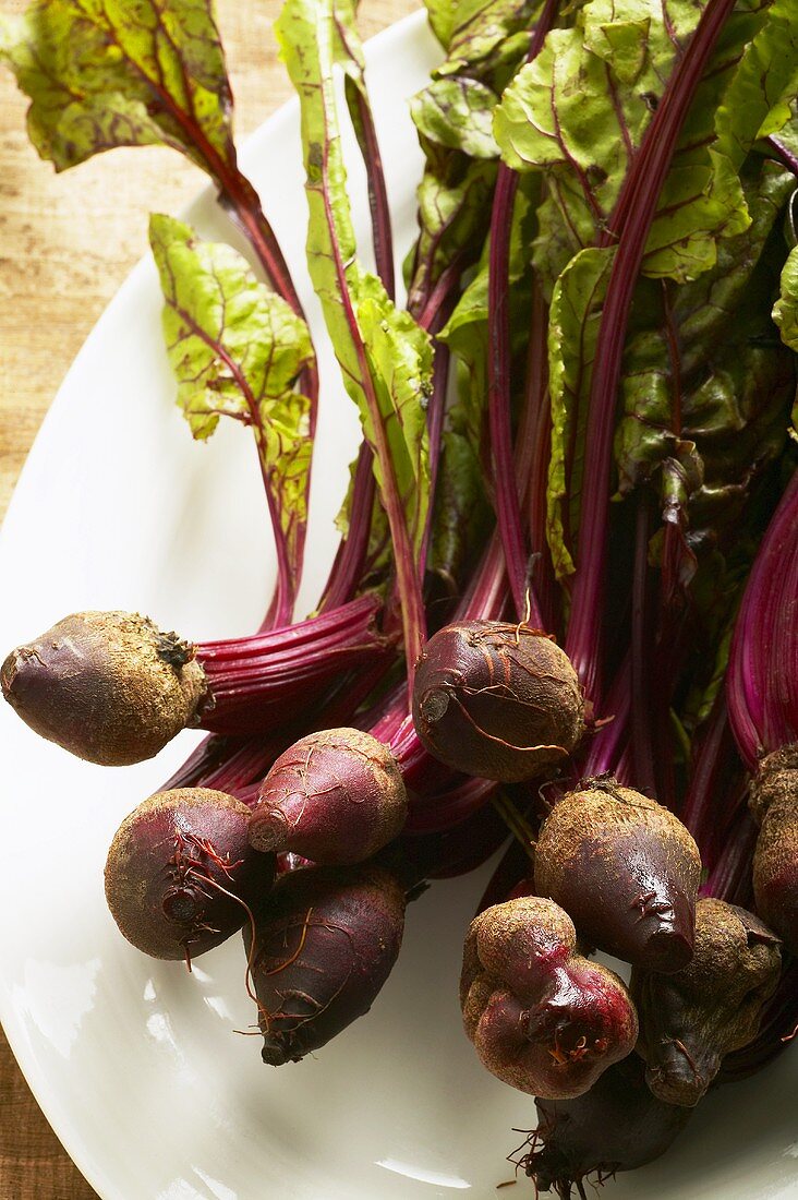 Young beetroot