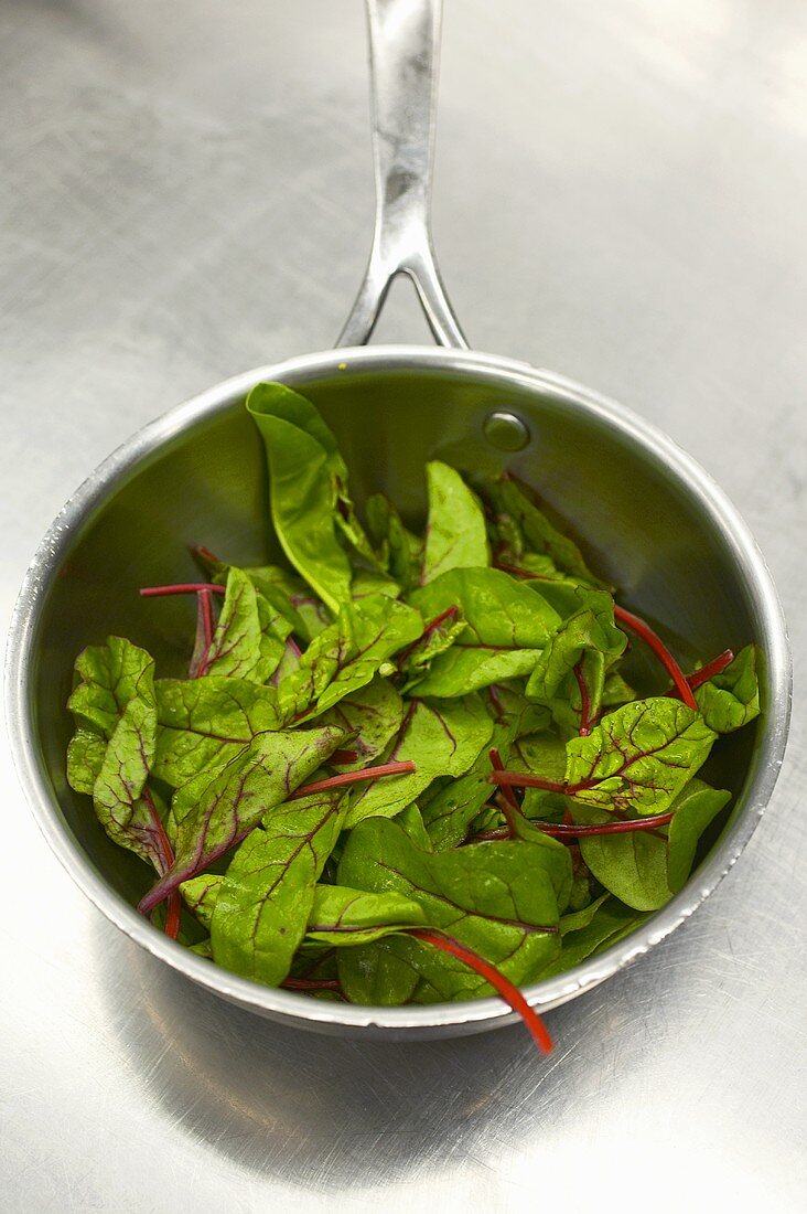Young spinach in a pan