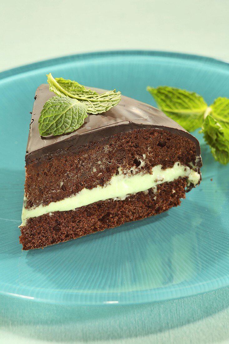 A slice of chocolate cake with mint