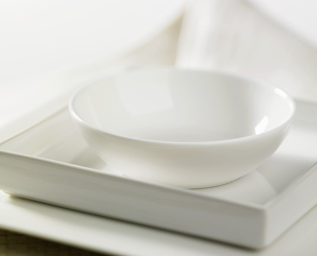 White bowl in a dish