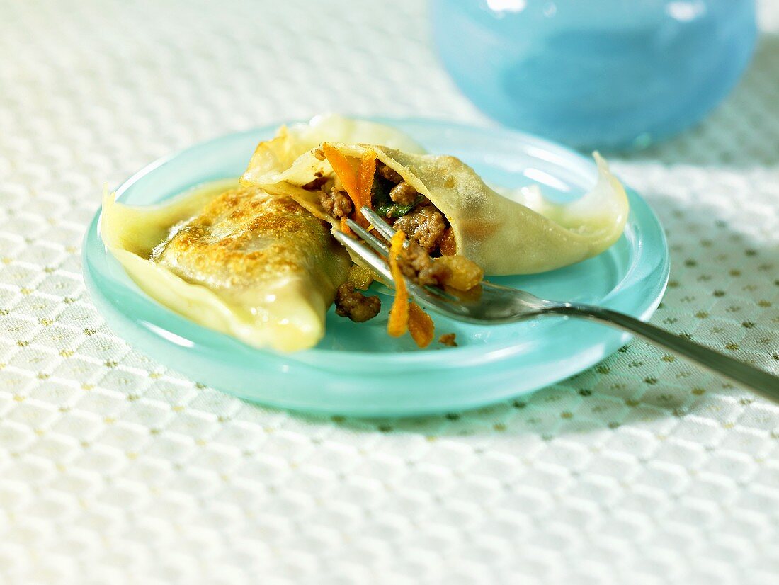 Chinese ravioli with meat and vegetable filling