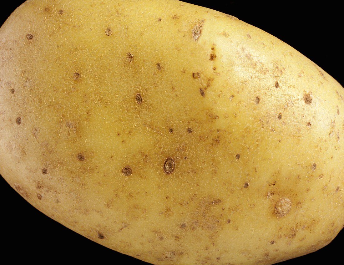 A potato