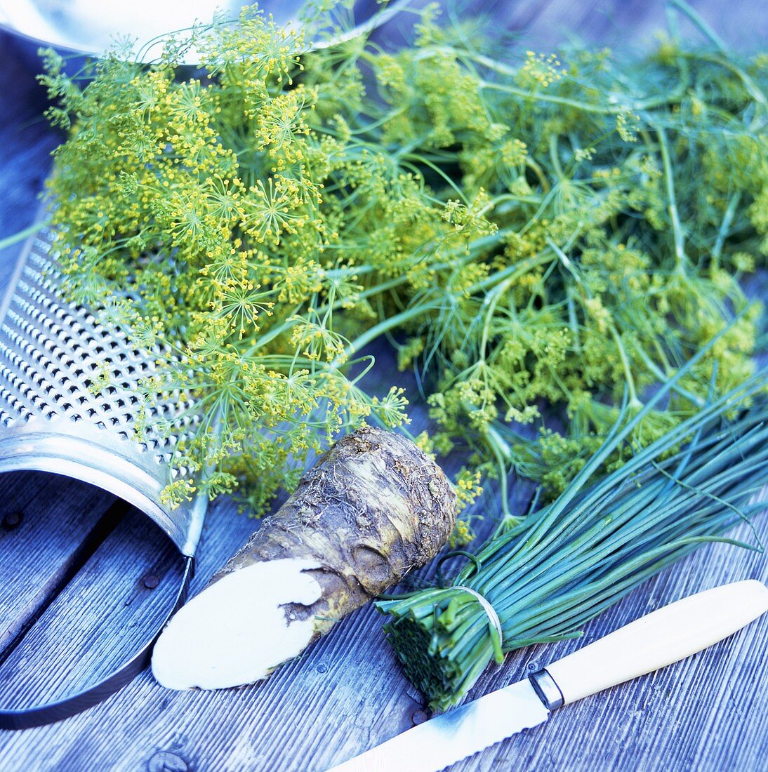 Dill, Meerrettich und Schnittlauch