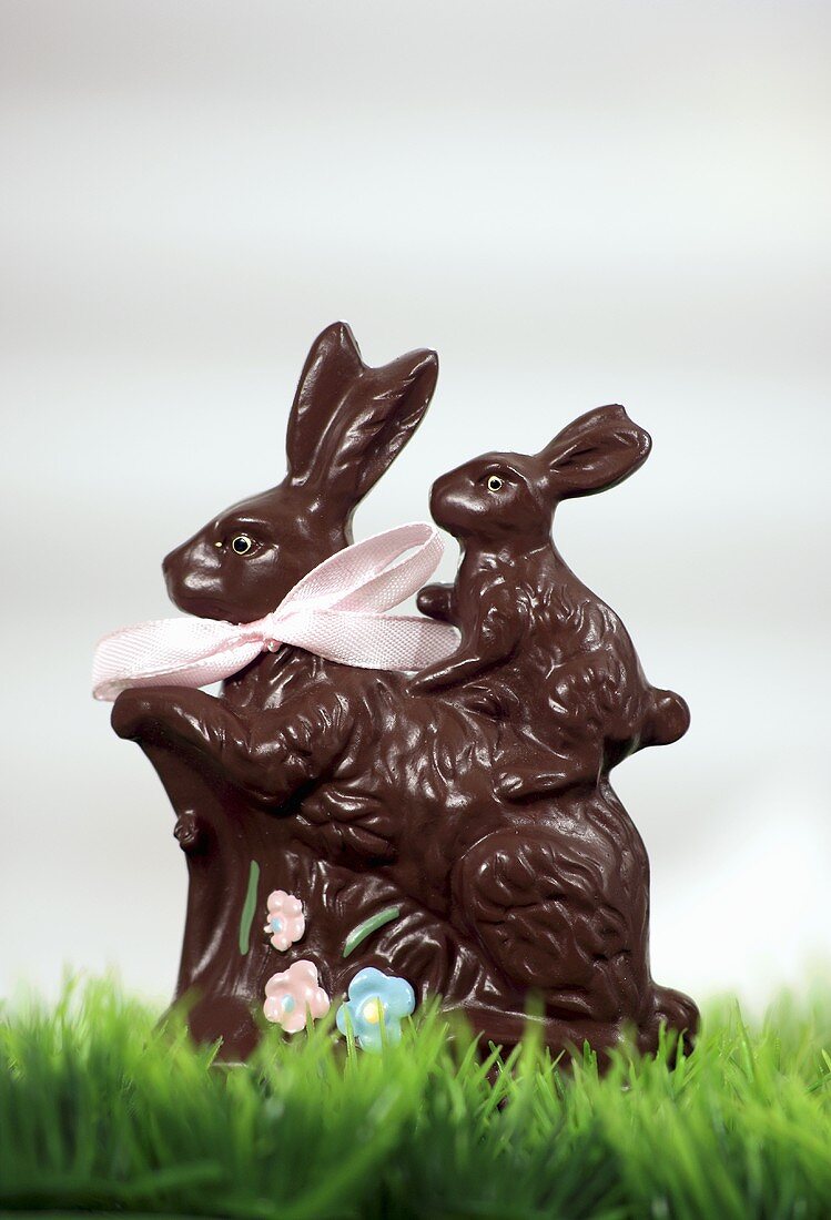 Two chocolate Easter Bunnies in green grass