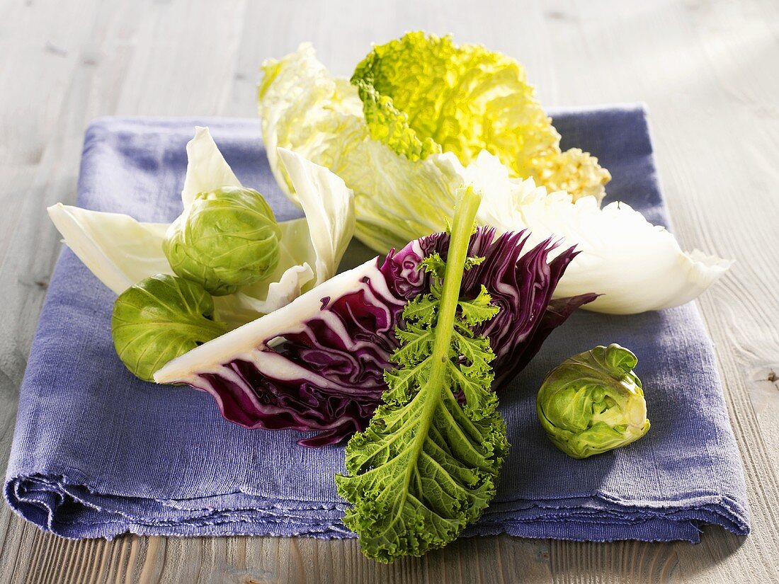 Pieces and leaves of various brassicas on a cloth