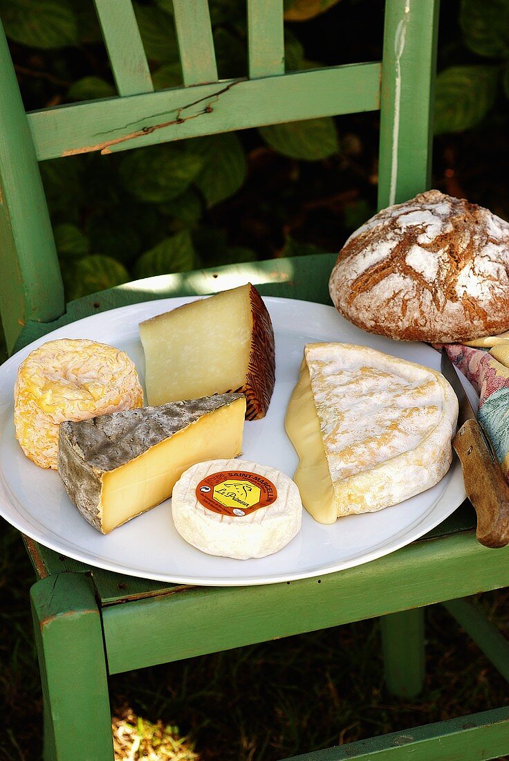 Cheese plate with bread on a chair out of doors