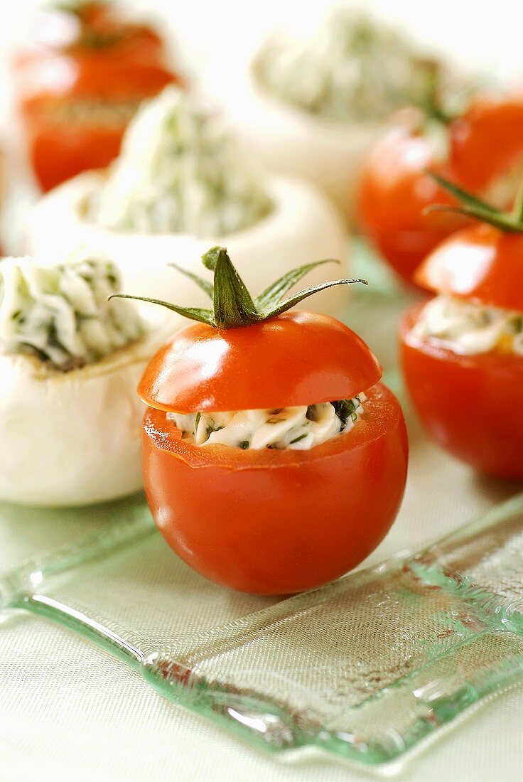 Tomaten und Champignons gefüllt mit Kräuter-Ziegenfrischkäse