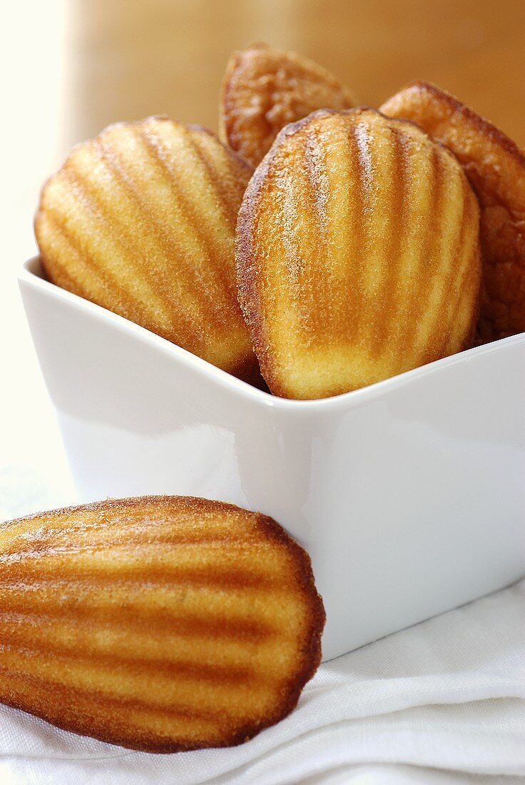 Lemon madeleines in a dish