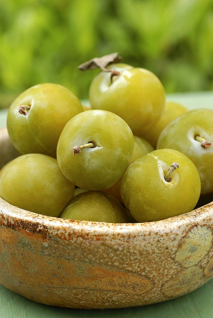 Greengages in a bowl