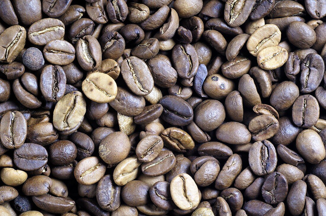 Roasted coffee beans