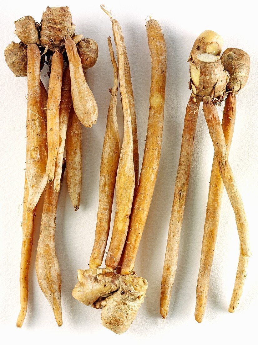 Finger root (Krachai)