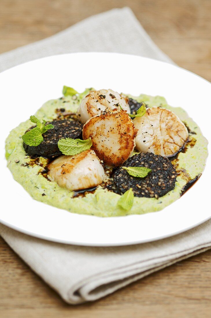 Fried black pudding and scallops on pea puree