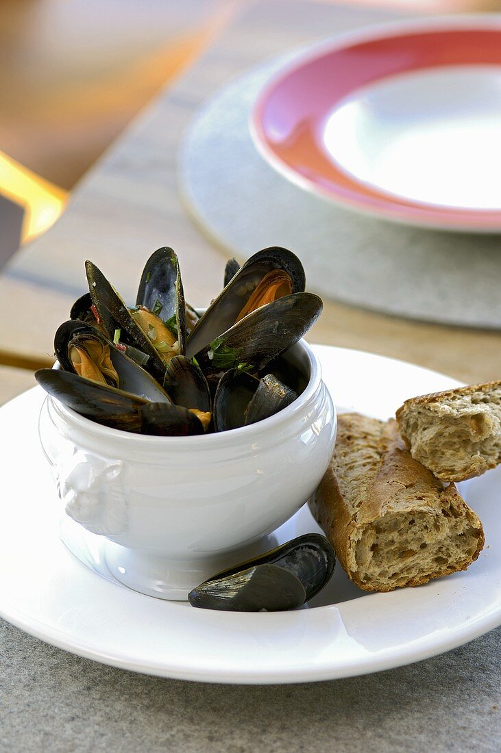 Steamed mussels with bread