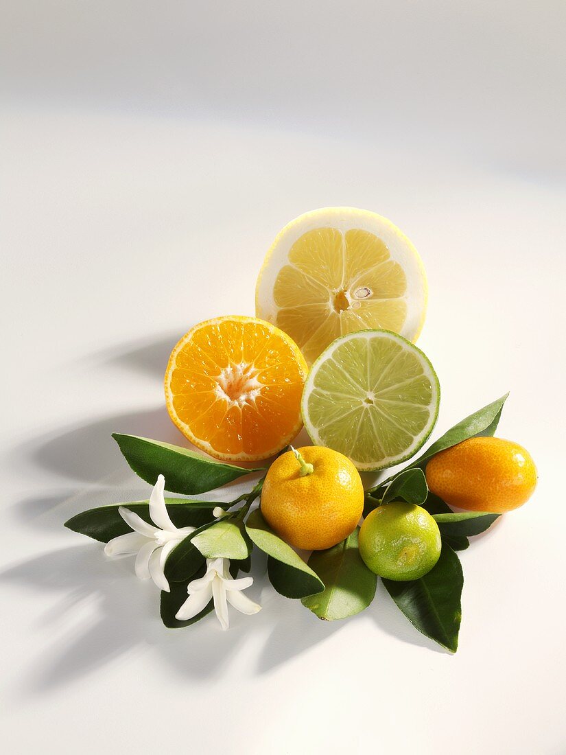 Citrus fruit with leaves and blossom