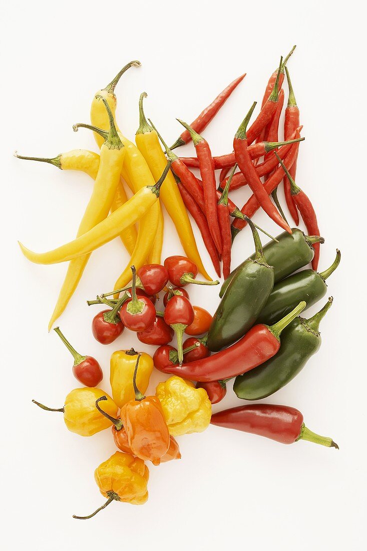 Various types of chillies